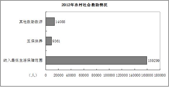 2012年农村社会救助情况柱状统计图