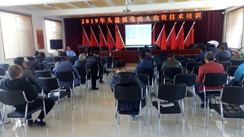 图为集安市头道镇残疾人实用技术培训现场